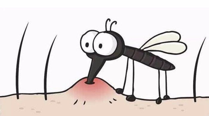 Бюджетное средство, которое поможет после комариного укуса