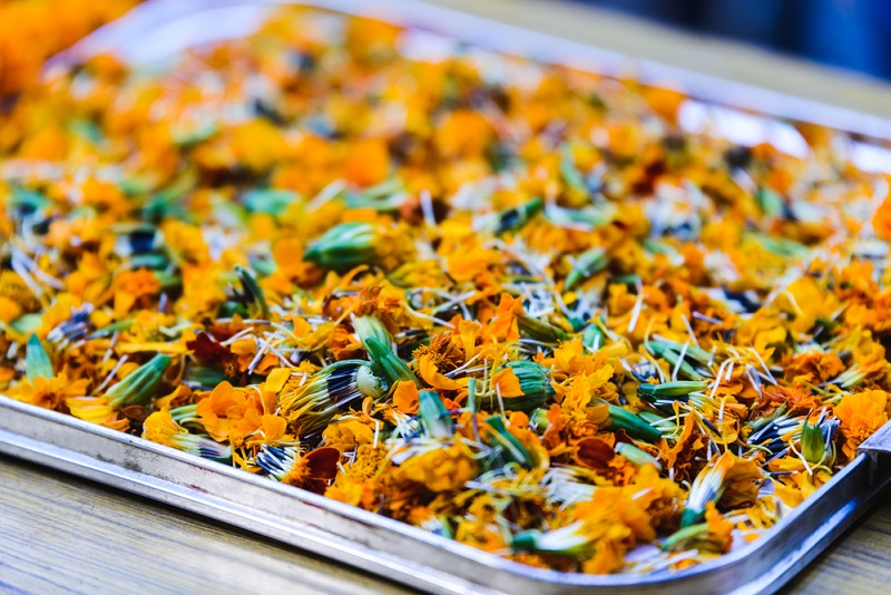 Бархатцы (чернобрывцы): снадобье от 100 недомоганий можно найти на каждой клумбе. Оказывается, эти цветы — незаменимая пряность в блюдах грузинской кухни.