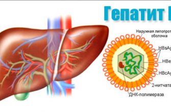Гепатит В: оздоровление народными методами