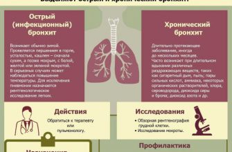 Как вывести мокроту из легких простыми средствами