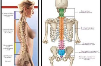 Врач-реабилитолог: как разблокировать позвоночник