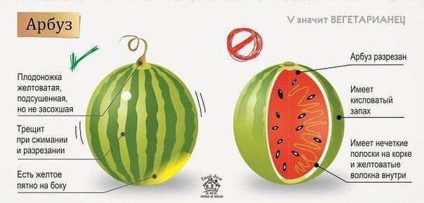 Крутая инфографика, после которой вы никогда не ошибётесь в выборе фруктов и ягод