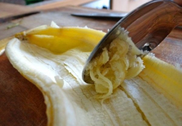 Вы должны перестать выбрасывать кожуру этого фрукта: он помогает при псориазе, избавляет от бородавок и может отбелить ваши зубы!