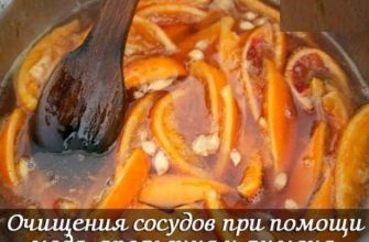 Очищение сосудов при помощи меда, апельсина и лимона