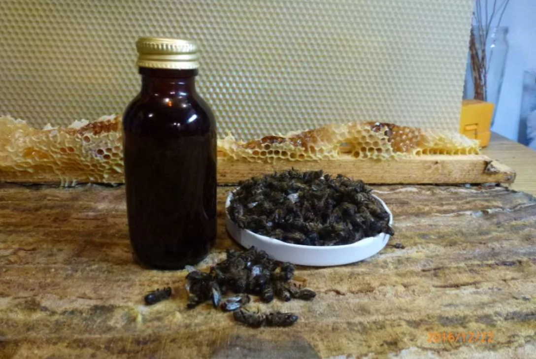 Пчелиный подмор поднимет умирающего — уникальное лекарство