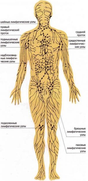 Как разогнать лимфу? Самые действенные способы!