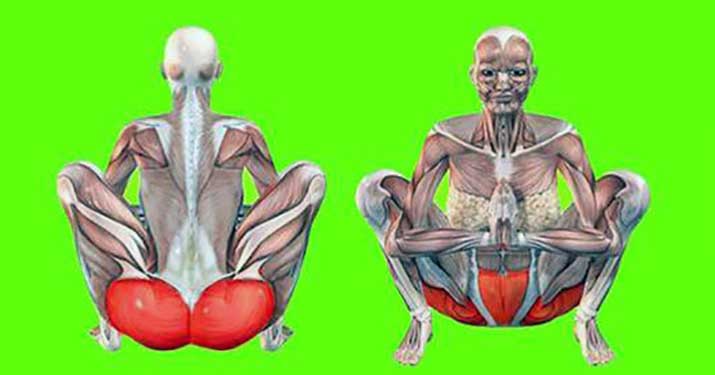 Упражнение маласана кардинально преобразит ваше тело, если выполнять его ежедневно