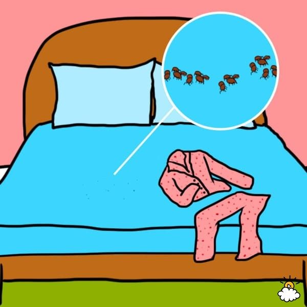 8 причин не спать в одной и той же пижаме больше 2 дней