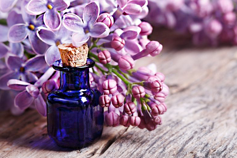 Успейте заполнить банку растительным маслом и фиолетовыми цветками, пока цветет сирень!