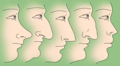 Характер по носу у женщин. Форма носа и характер человека