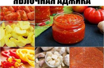 Яблочная аджика