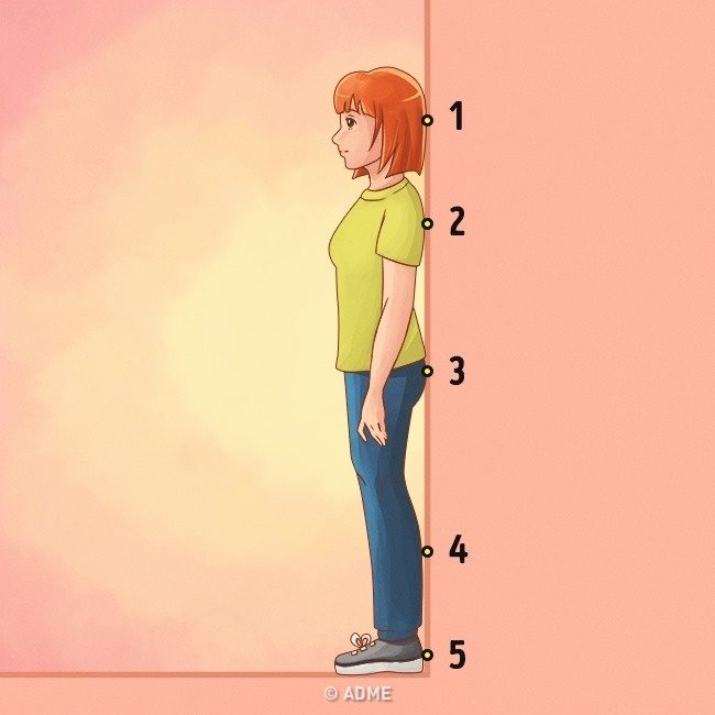 Простые упражнения для ровной спины