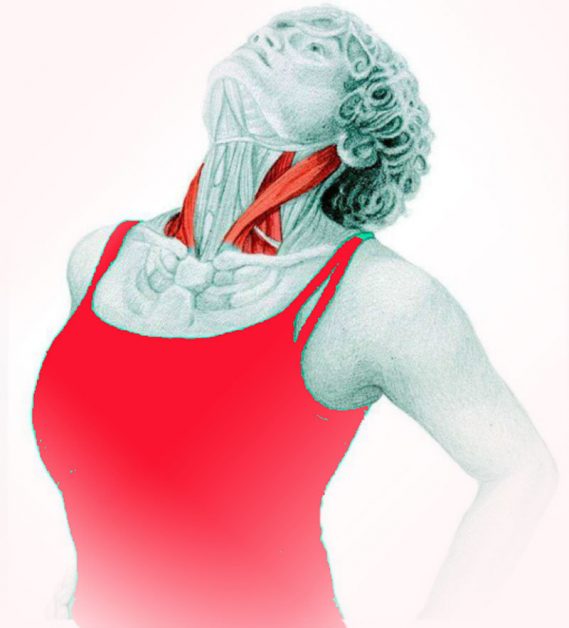 Упражнение «Бабочка»: укрепляем шею и подтягиваем подбородок