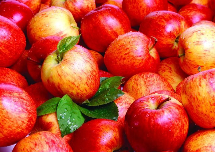 10 познавательных фактов о яблоках