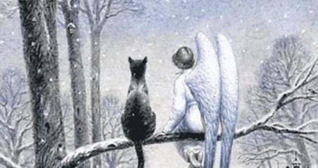 Трогательная сказка про кота и ангела